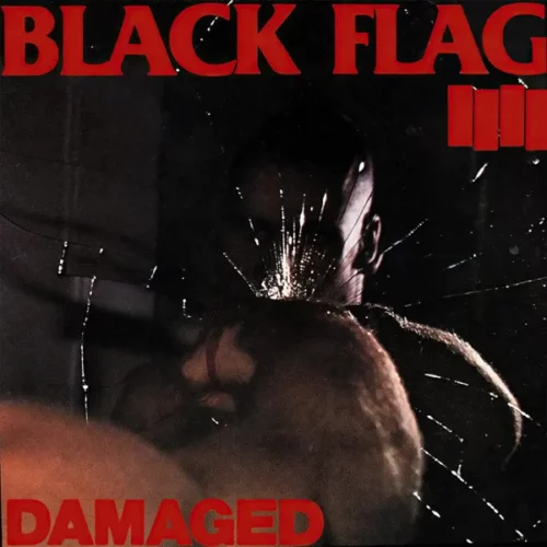 Album cover of "Damaged"