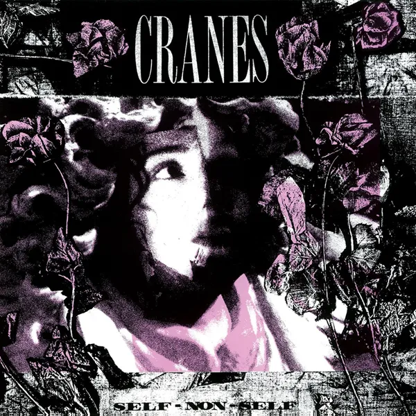 EP cover of "Self-Non-Self"