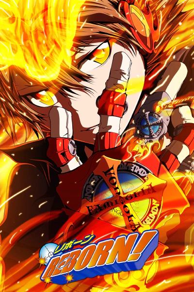 Poster for the anime "Home Tutor Hitman Reborn!"