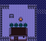 "Pokémon Crystal Version" screenshot of Dragon's Den with the player character standing outside of the Dragon Shrine.