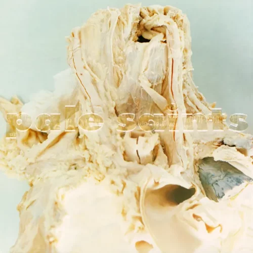 Album cover of "In Ribbons"