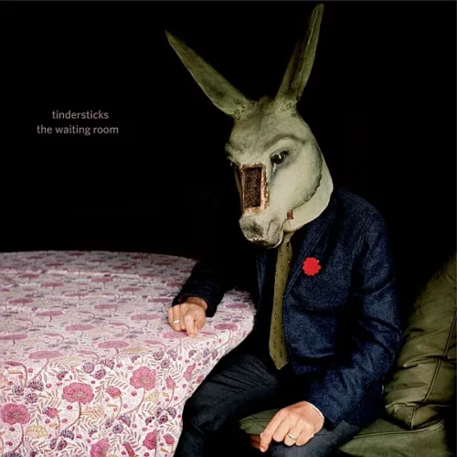 Album cover of "The Waiting Room"