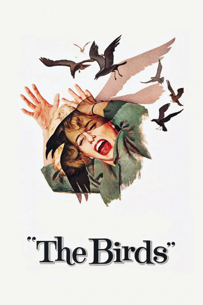 Cover art for "The Birds"